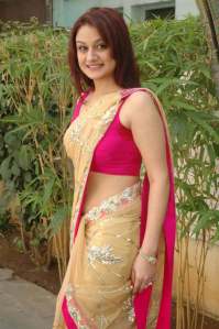 Tamil+Actress+Sonia+Agarwal+Latest+Hot+Stills+in+Saree-9